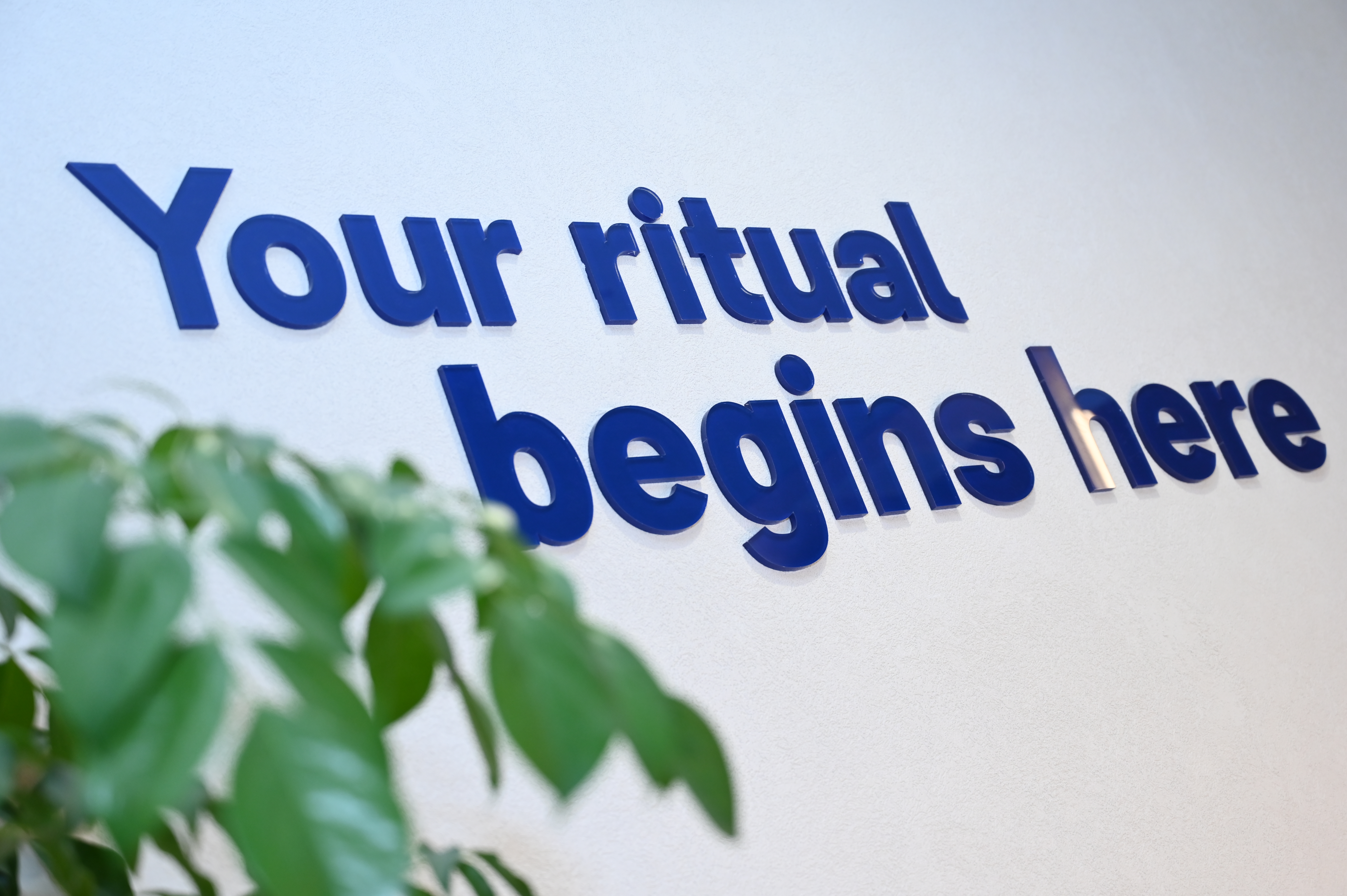 SEVEN member ritual